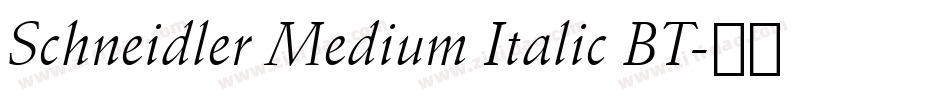 Schneidler Medium Italic BT字体转换